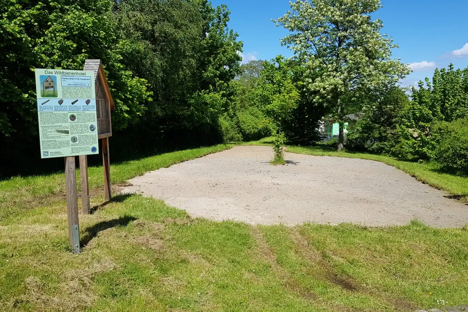 Die neue Wildblumenwiese am Insektenhotel