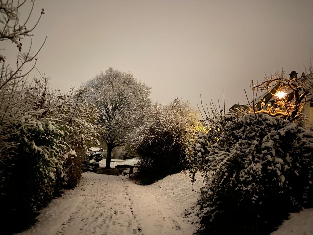 Winter im Gartenverein Fritz Husemann