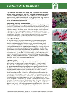 2212-gartentipp-icon