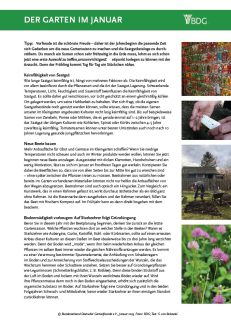 2301-gartentipp-icon