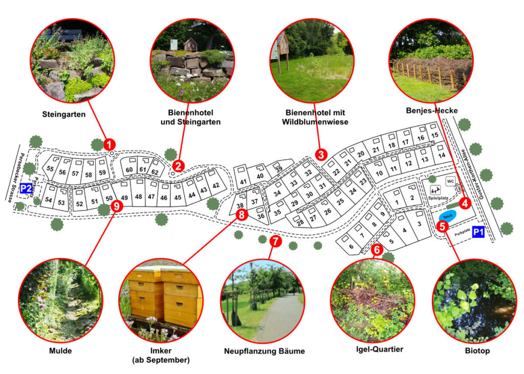 Plan der Anlage Gartenverein Fritz Husemann e.V.